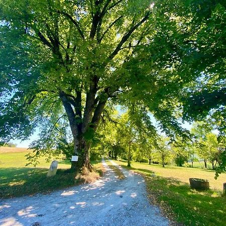 Gite De L'Edelinie Nanteuil-Auriac-de-Bourzac Екстер'єр фото