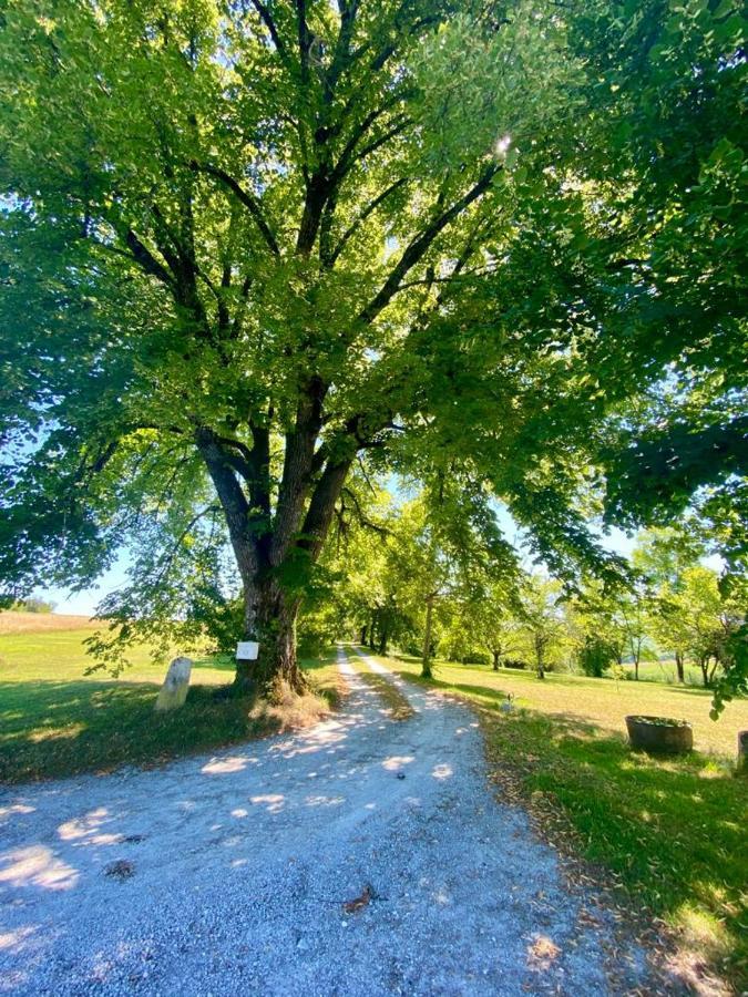 Gite De L'Edelinie Nanteuil-Auriac-de-Bourzac Екстер'єр фото